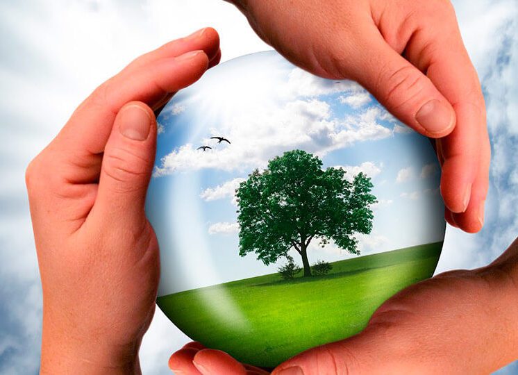 Responsabilidade social